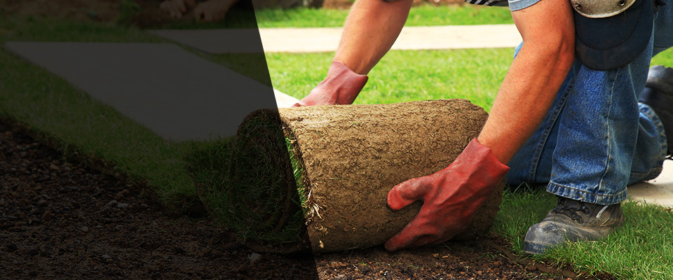 Dickinson Landscapers